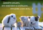 Может, лучше на двоих?, 28-07-12