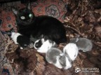 И он надеется, что я сама их воспитаю?, 31-07-12
