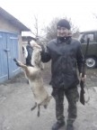 Кур красть небудет, 03-11-19